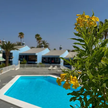 Beautiful Aguycan 120 Playa Del Aguila Maspalomas Gran Canaria Appartement