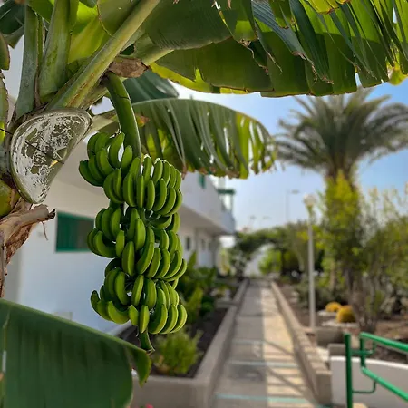 Beautiful Aguycan 120 Playa Del Aguila Maspalomas Gran Canaria
